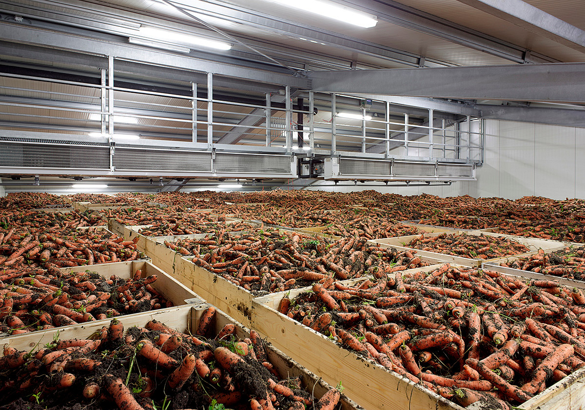 Bewaartechniek aardappels, uien en wortelen