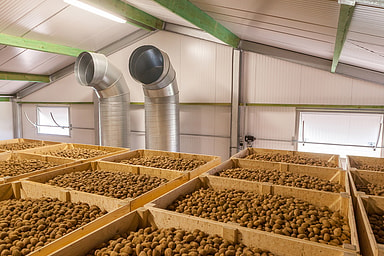 Aardappelbewaring koeling