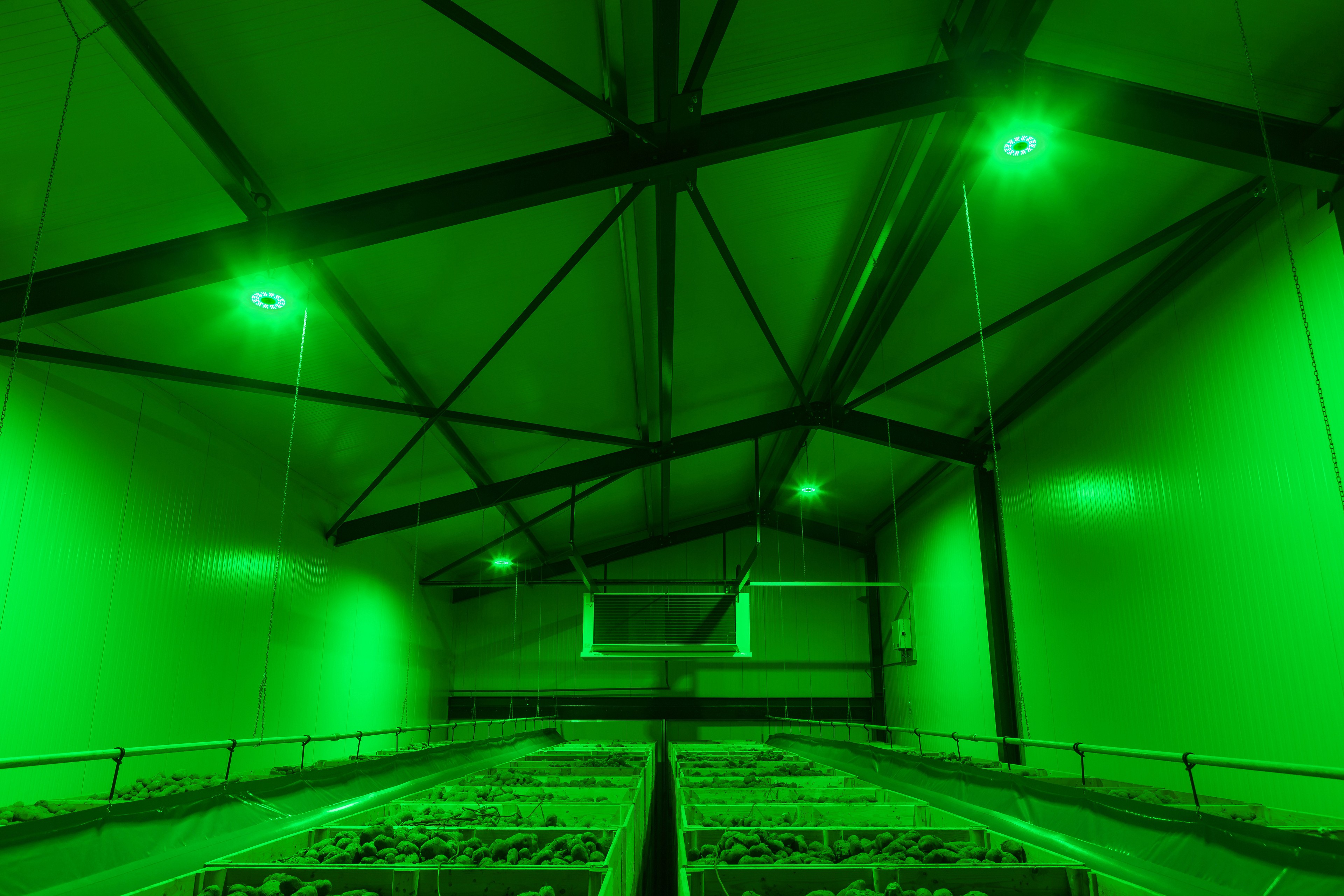 LED High Bay lampen