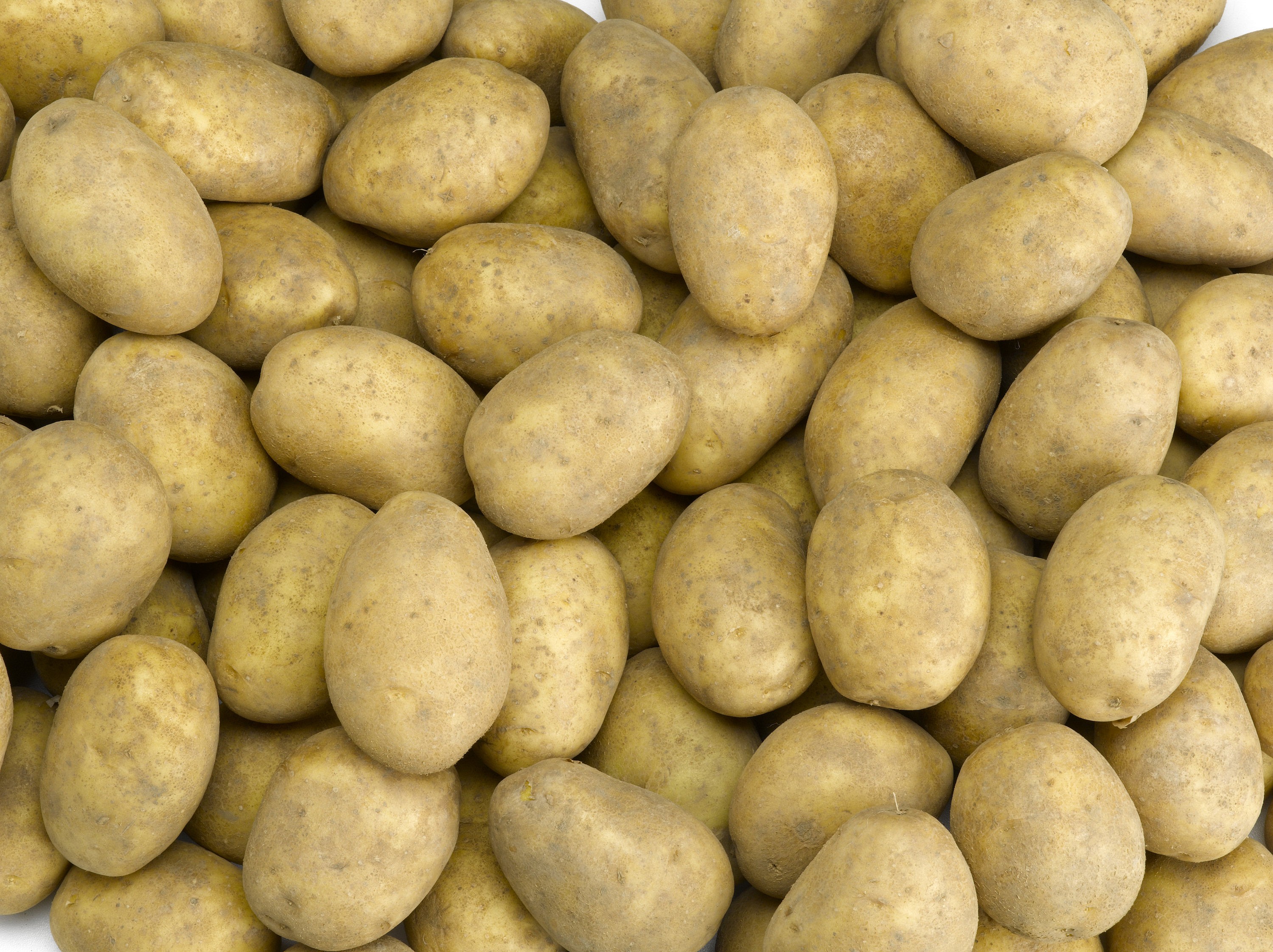 Tolsma potatoes