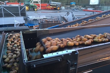 modulaire transportband voor aardappelen